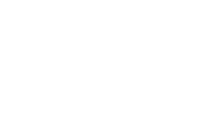 Mahlkönig logo